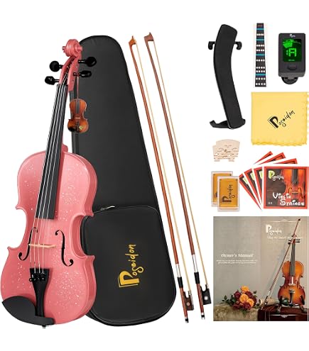 Amazon.com: Stagg VN-4/4-Size EF 4/4-Size Solid Spruce Top Maple